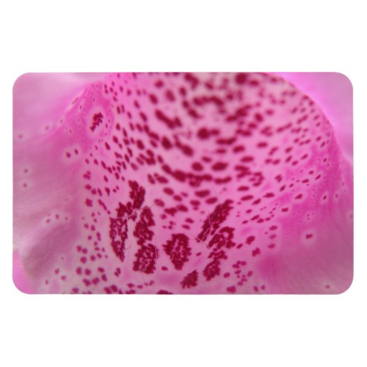 Pink Foxglove Petal Premium Magnet (Horizontal)