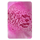Pink Foxglove Petal Premium Magnet (Vertikal)