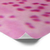 Pink Foxglove Petal Print Poster (Ecke)