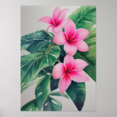 Pink Frangipani Blume Poster (Vorne)