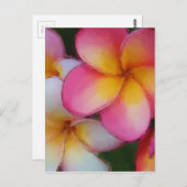 Pink Frangipani Plumeria Blume Postkarte (Vorne/Hinten)