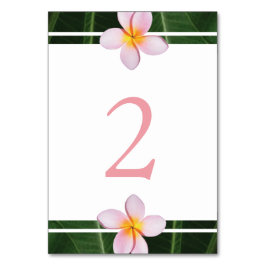 Pink Frangipani Plumeria Wedding Tischnummer