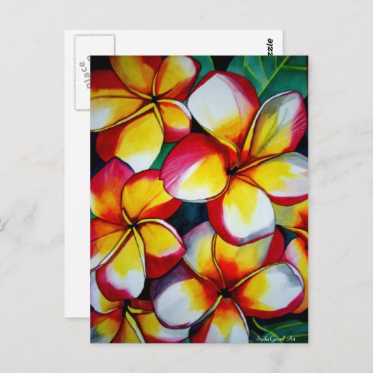 Pink Frangipanis Postkarte von Sacha Grossel Art (Vorne/Hinten)