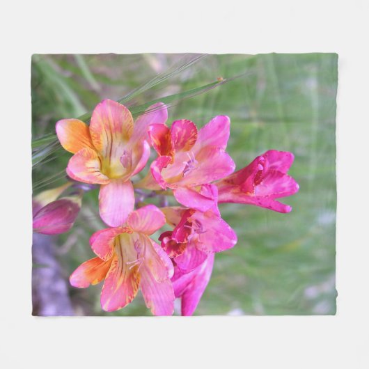 Pink Freesias Fleecedecke (Vorderseite (Horizontal))