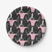 Pink French Bulldog 4Melissa Pappteller (Vorderseite)