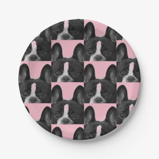 Pink French Bulldog 4Melissa Pappteller (Vorderseite)