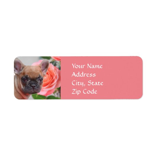 Pink French Bulldog address Labels (Vorne)