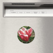 Pink Fringed Tulip Magnet (In Situ (Geschirrspüler))
