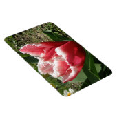 Pink Fringed Tulip Premium Magnet (Rechte Seite)