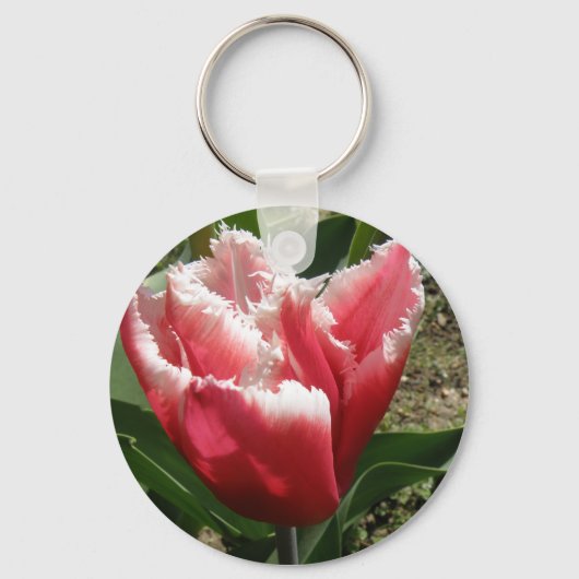 Pink Fringed Tulip Schlüsselanhänger (Vorderseite)