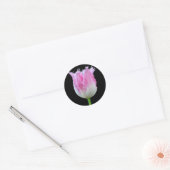 Pink Fringed Tulip Stickers (Umschlag)