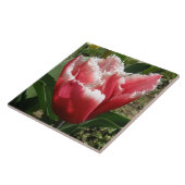 Pink Fringed Tulip Tile Fliese (Seite)