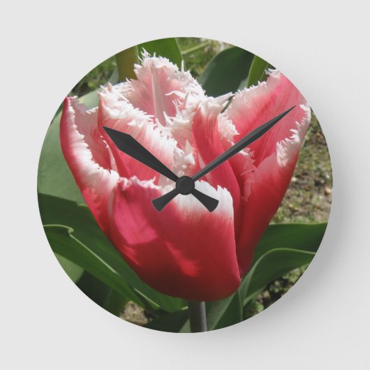 Pink Fringed Tulip Wall Clock Runde Wanduhr (Vorderseite)