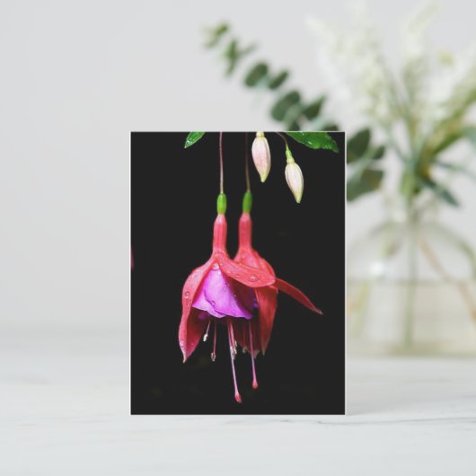 Pink Fuchsia-Blume Postkarte (Stehend Vorderseite)