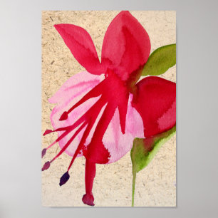 Pink Fuchsia Pop Kunst Aquarell Blume Poster