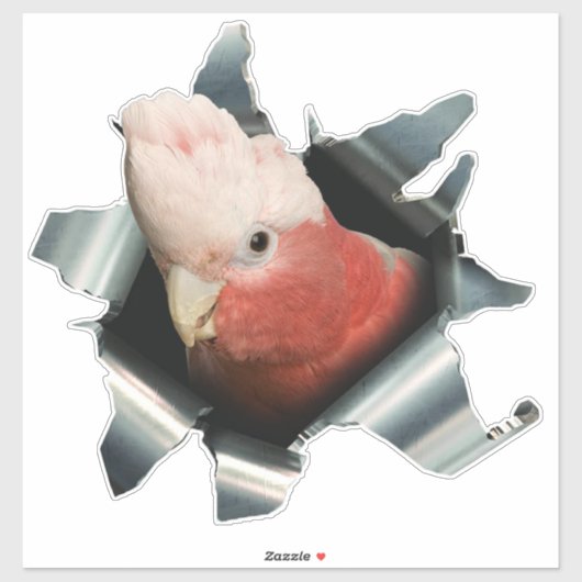 Pink Galah Parrot Sticker – Australian Bird Decal (Blatt)
