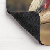 Pink Galahs Mousepad (Ecke)