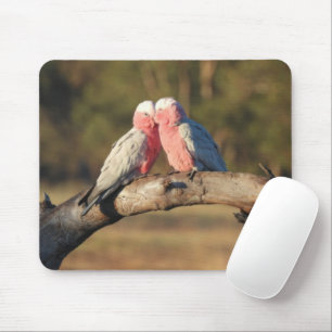 Pink Galahs Mousepad