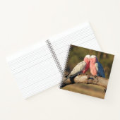 Pink Galahs Notizblock (Innenseite)