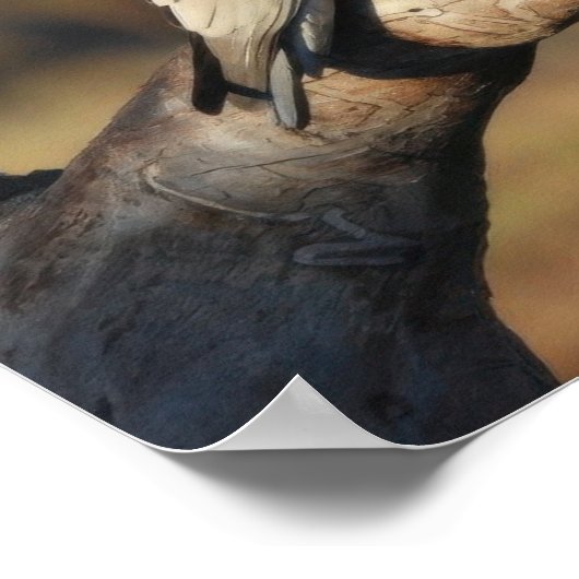 Pink Galahs Poster (Ecke)