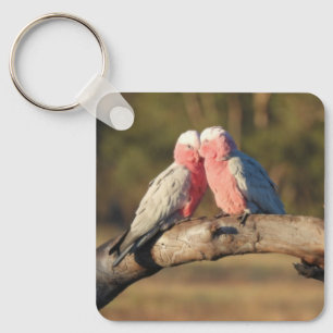 Pink Galahs Schlüsselanhänger