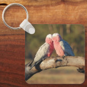 Pink Galahs Schlüsselanhänger (Vorderseite)
