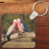 Pink Galahs Schlüsselanhänger (Rückseite)