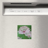 Pink Garden Magnet (In Situ (Geschirrspüler))