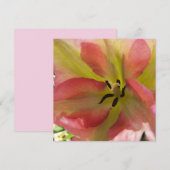Pink & Gelb Tulip Flat Grußkarte (Vorne/Hinten)