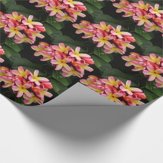 Pink-gelbe Plumeria-Blume-Umschlagpapier Geschenkpapier (Ecke)