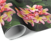 Pink-gelbe Plumeria-Blume-Umschlagpapier Geschenkpapier (Rolleneckpunkt)