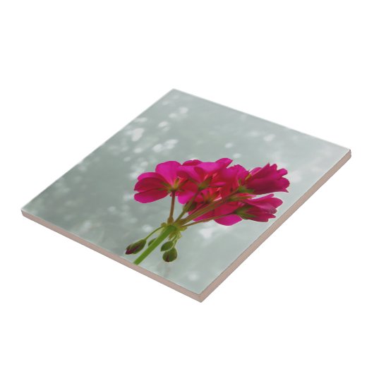 Pink Geranium Blume Bilderband Fliese (Seite)