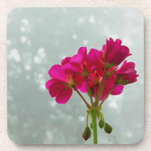 Pink Geranium Blume Picture Untersetzer