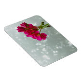 Pink Geranium Foto Magnet (Rechte Seite)