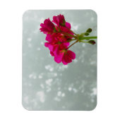 Pink Geranium Foto Magnet (Vertikal)