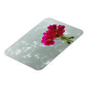 Pink Geranium Foto Magnet (Linke Seite)