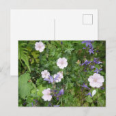 Pink Geraniums & Lila Campanula DIY Postkarte (Vorne/Hinten)