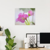 Pink Geraniums Poster (Heimbüro)