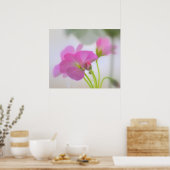 Pink Geraniums Poster (Küche)