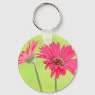 Pink Gerber Daisies auf Green Schlüsselanhänger