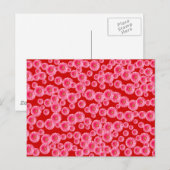 Pink Gerber Daisies Postkarte (Vorne/Hinten)