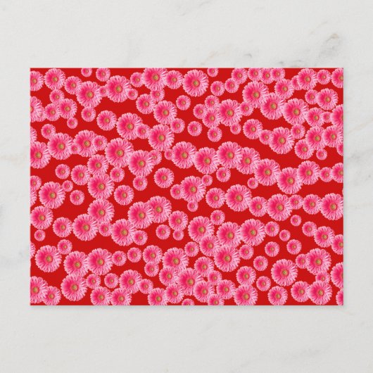 Pink Gerber Daisies Postkarte (Vorderseite)