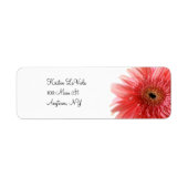 Pink Gerber Daisy Address Label (Vorne)