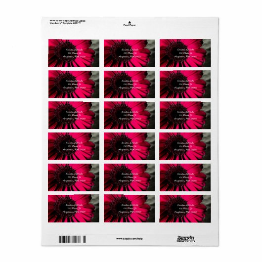 Pink Gerber Daisy Address Label Adressaufkleber (Vorne)