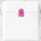 Pink Gerber Daisy Envelope Sticker (Tasche)