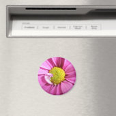 Pink Gerber Daisy Magnet (In Situ (Geschirrspüler))