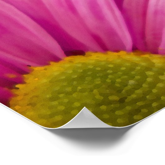Pink Gerber Daisy Miracles Poster (Ecke)