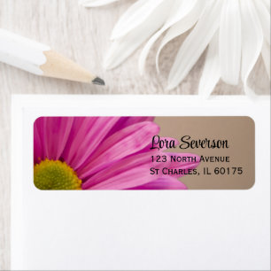 Pink Gerber Daisy Rücksendeadresse