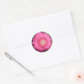 Pink Gerber Daisy Runder Aufkleber (Umschlag)