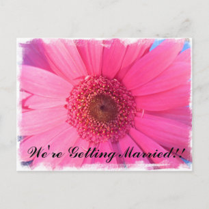 Pink Gerber Daisy Wedding Einladung